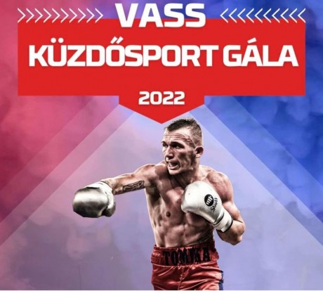 Profi ökölvívás - április 9-én rendezik meg a Vass Küzdősport Gálát